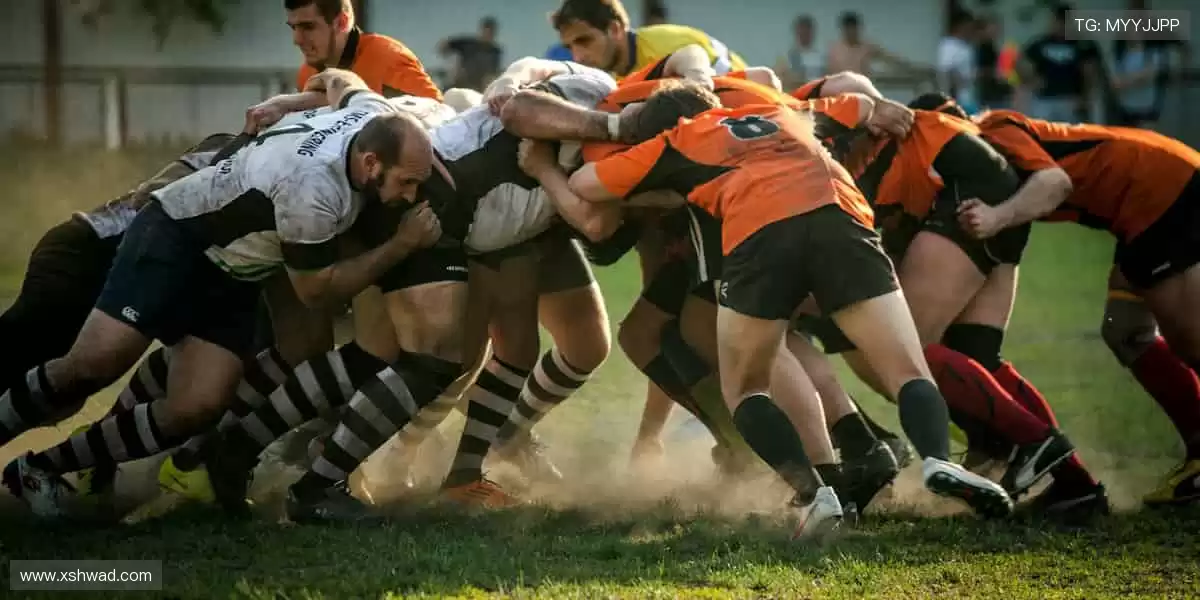 🎯 专业装备，助力突破极限！💪 每一次挥拍，都是精准的胜利！